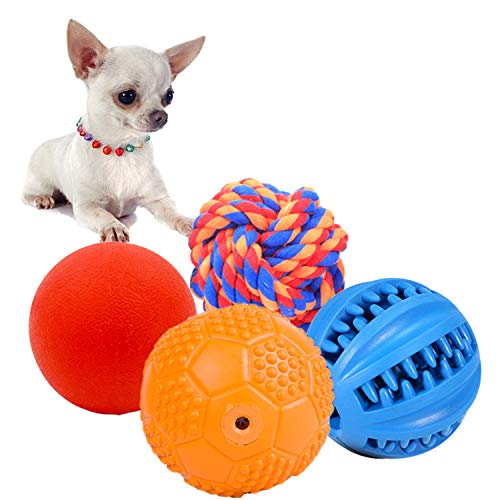 Best Ball For Puppy Ball Therapy