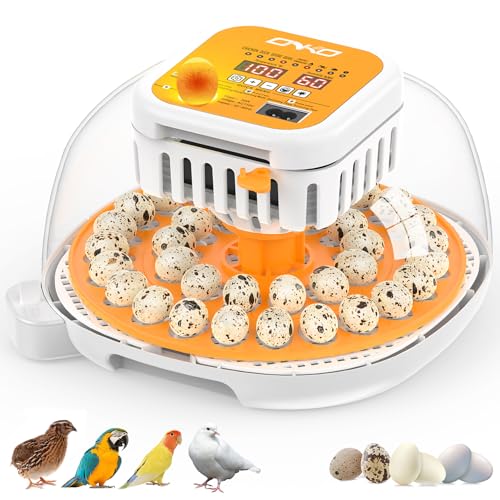 Best Quail Incubators