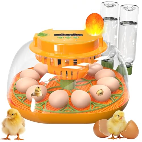 Best Small Incubator for Chicken Eggs